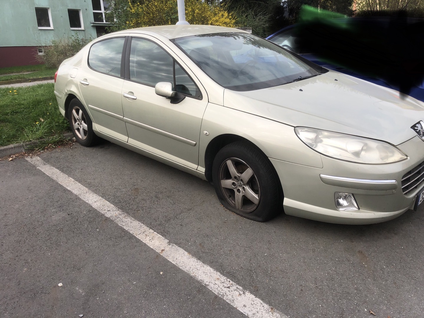 Fotografie nahlášení