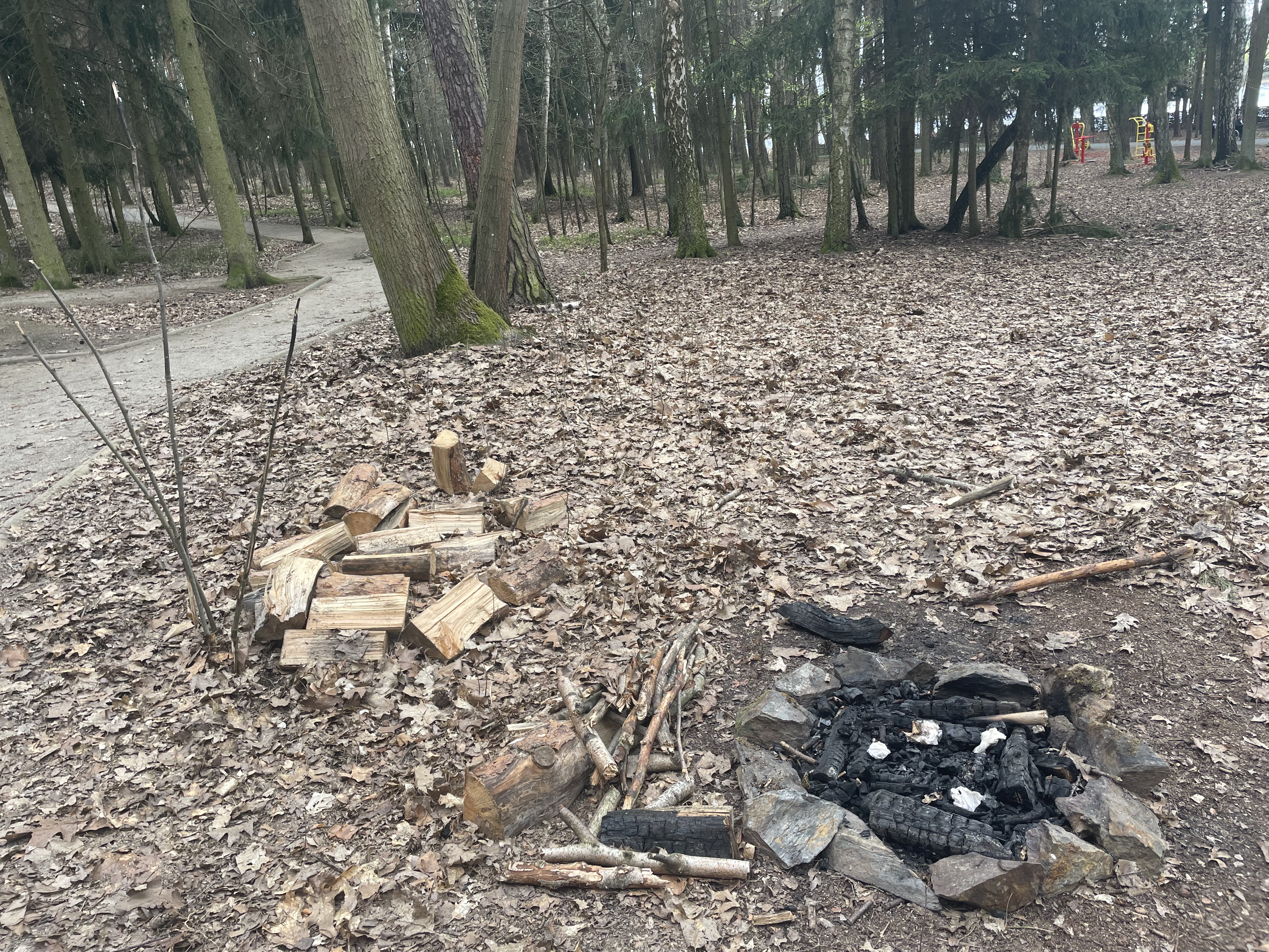 Ohniste a odpadky v lese