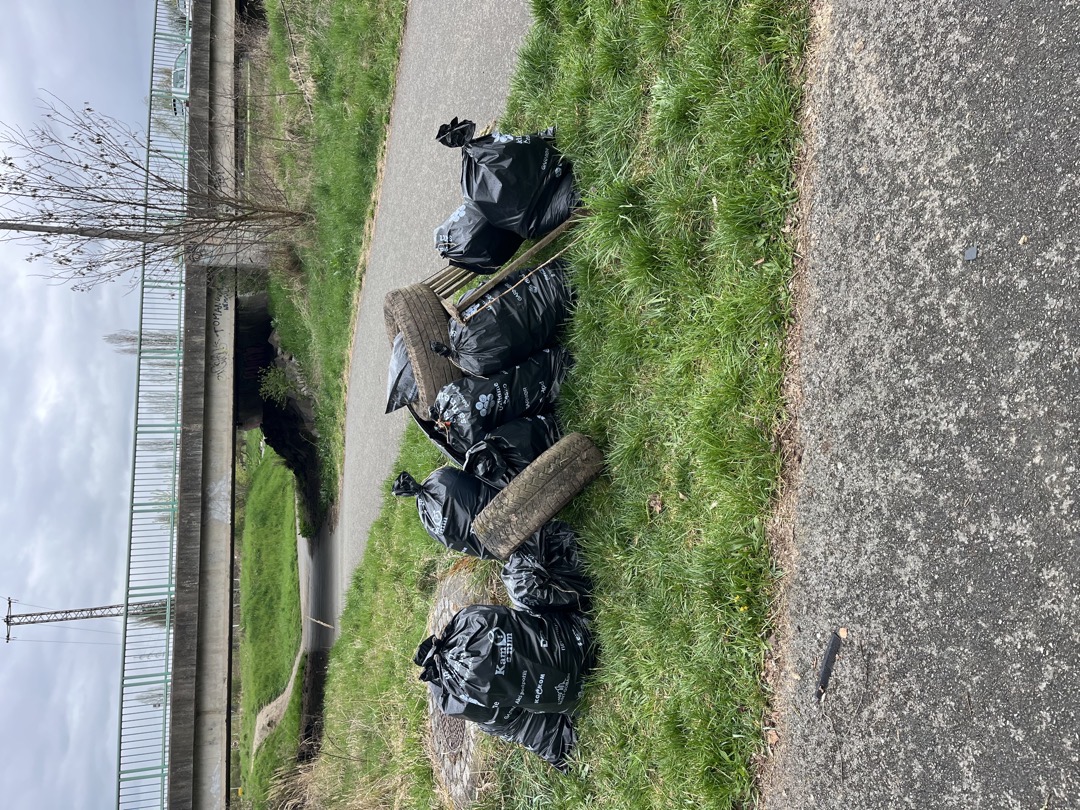 Skládka v okolí řeky Úslavy