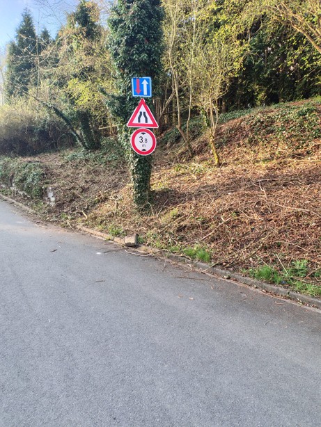 Úklid po prořezávce neproběhl