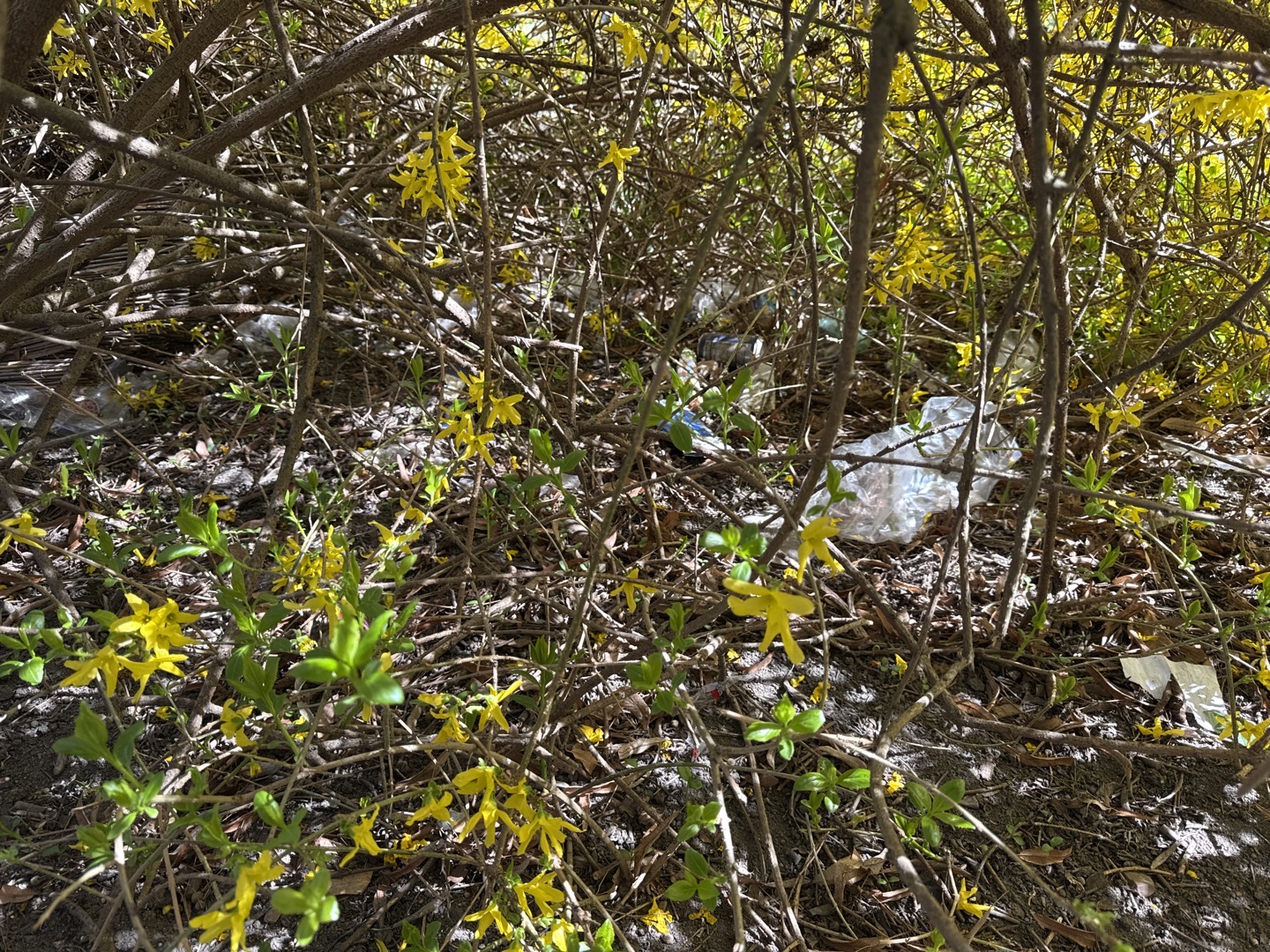 Fotografie nahlášení