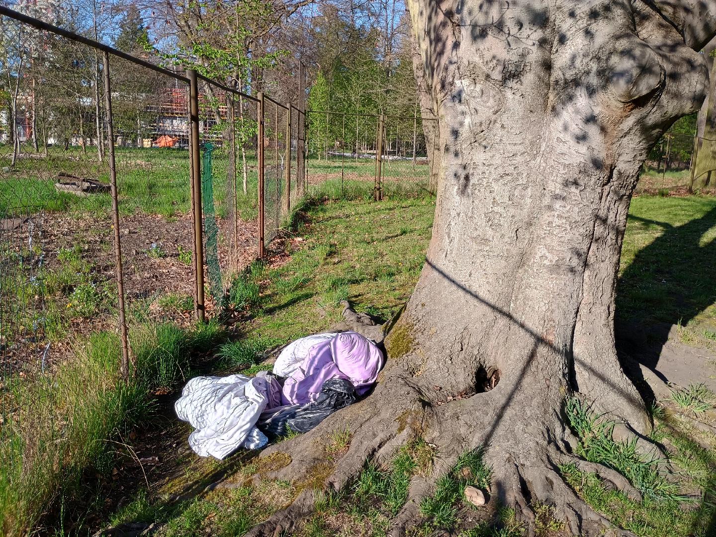 nepořádek v papírenské parku