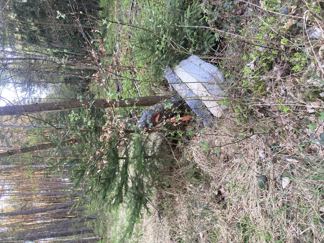 Polystyrenove bloky v lese