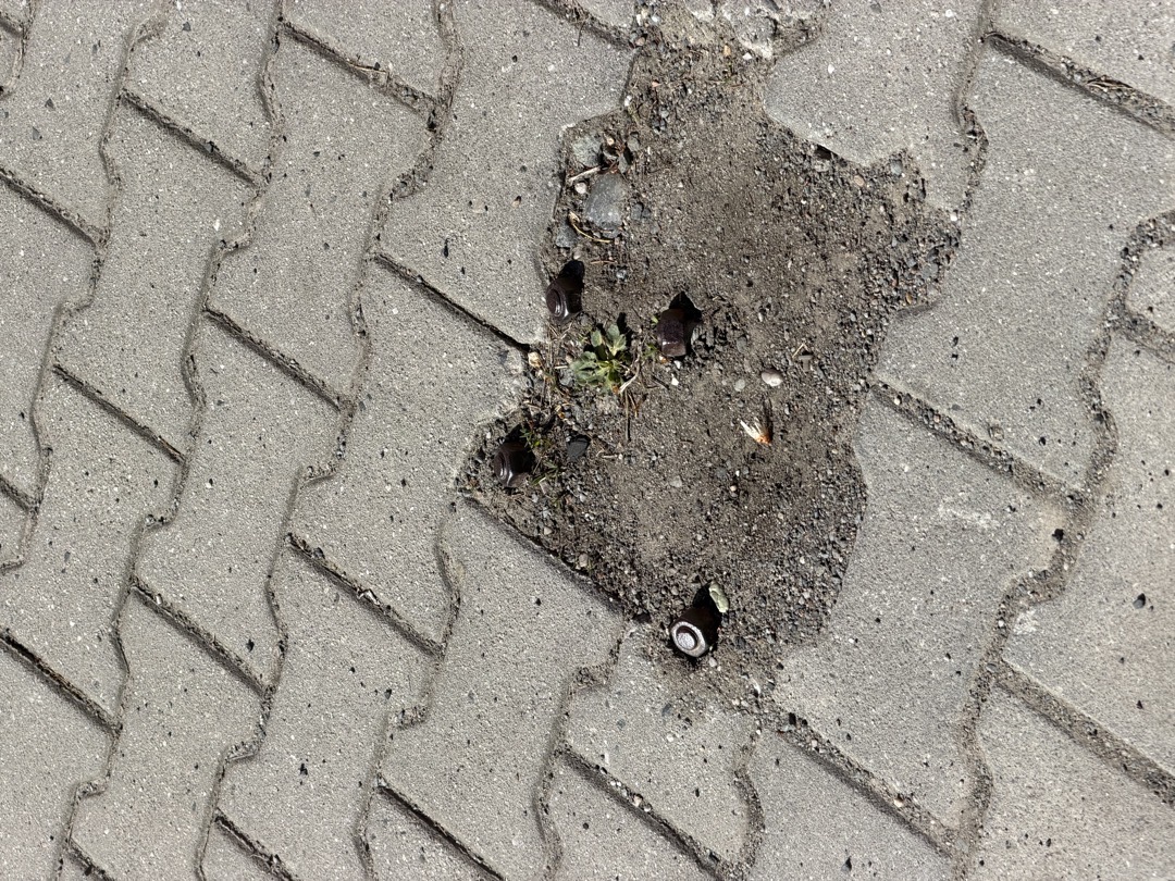 šrouby koukají ze země 