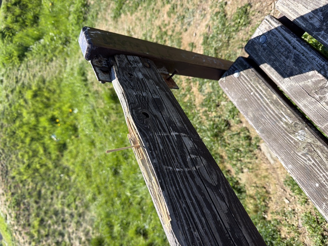 Fotografie nahlášení