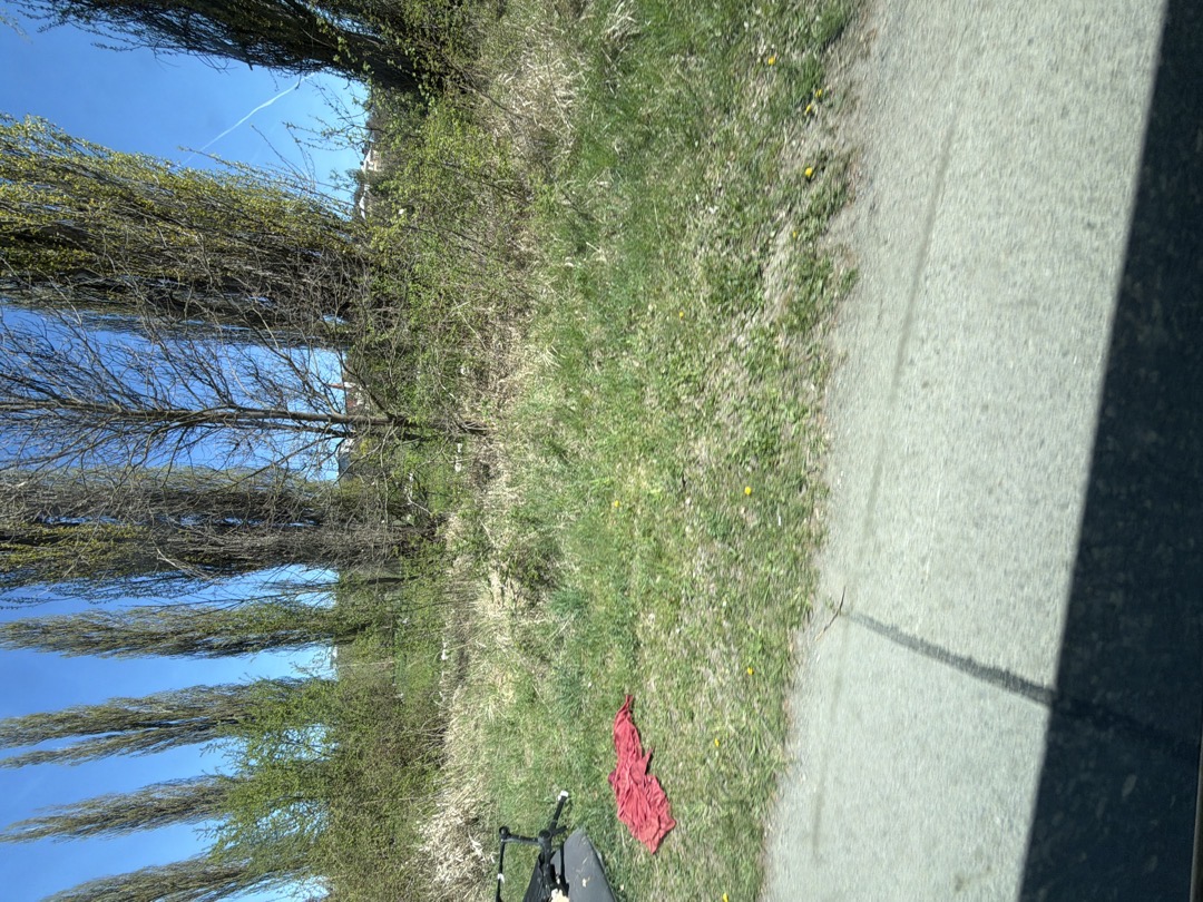 Fotografie nahlášení