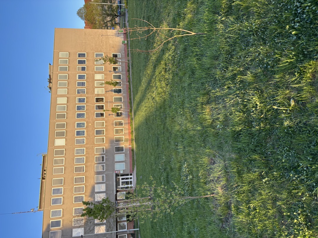 Stromeček na výměnu