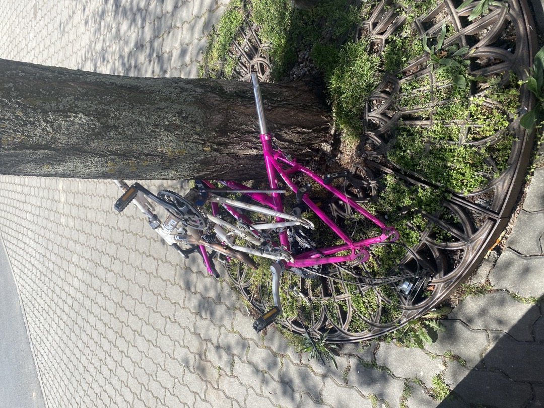 Fotografie nahlášení