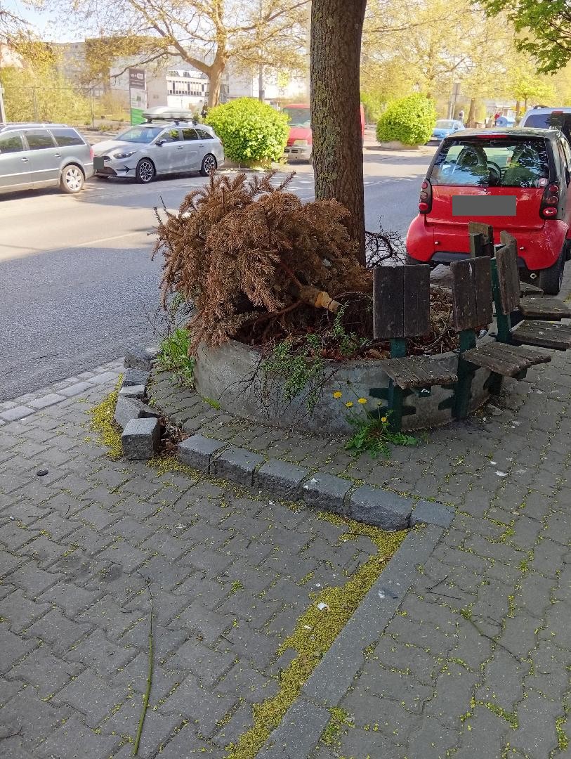 Fotografie nahlášení