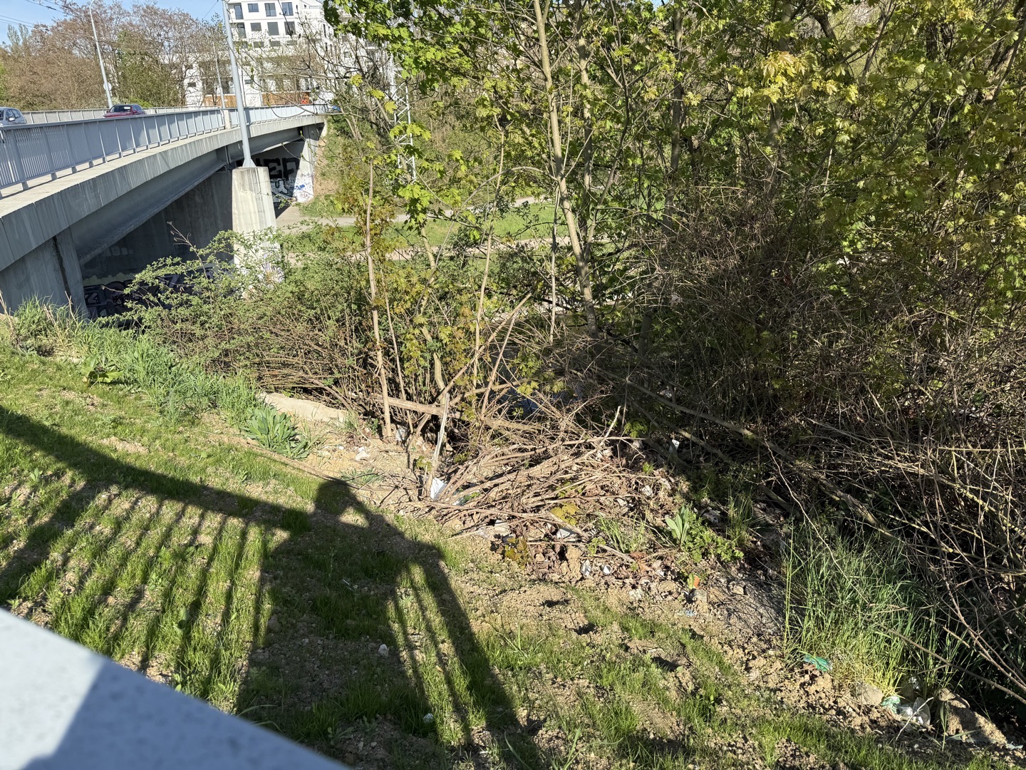 Odpad v okolí řeky