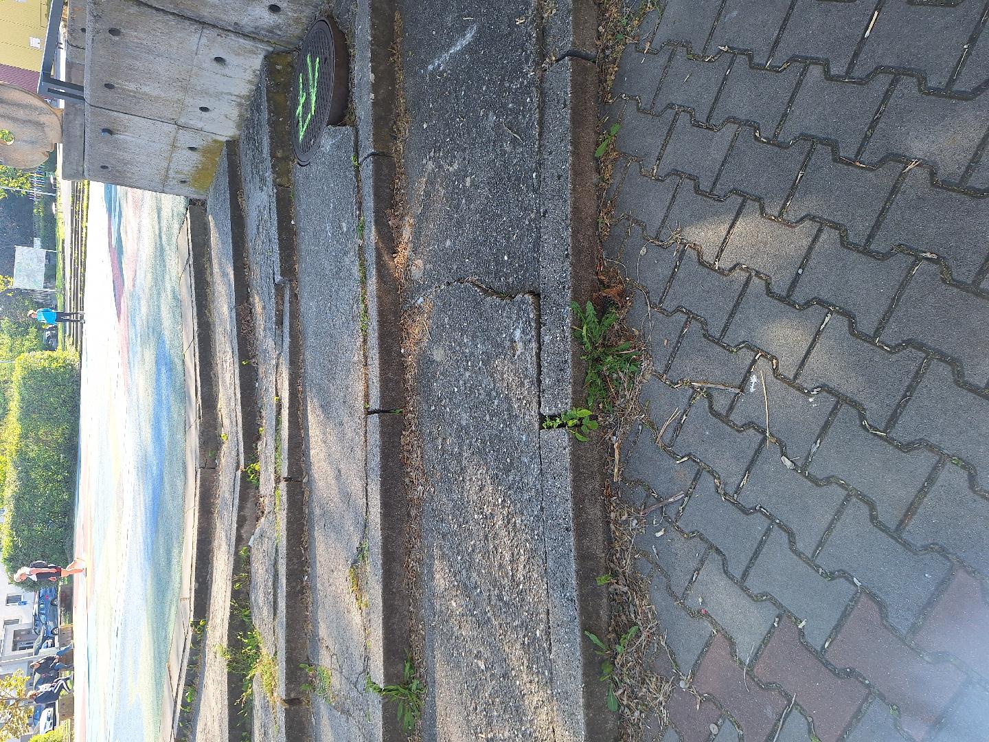 Fotografie nahlášení