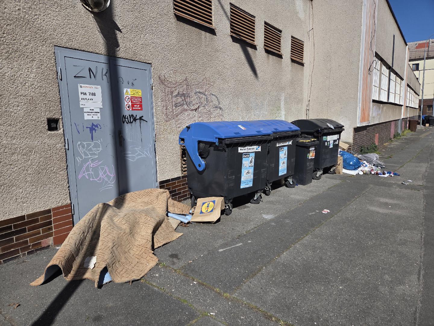 Nepořádek u kontejnerů