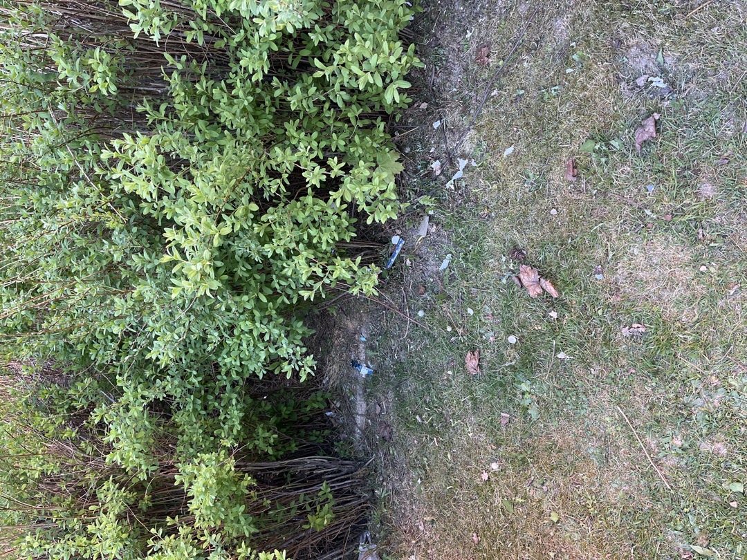 Odpadky ve křoví u pískoviště 