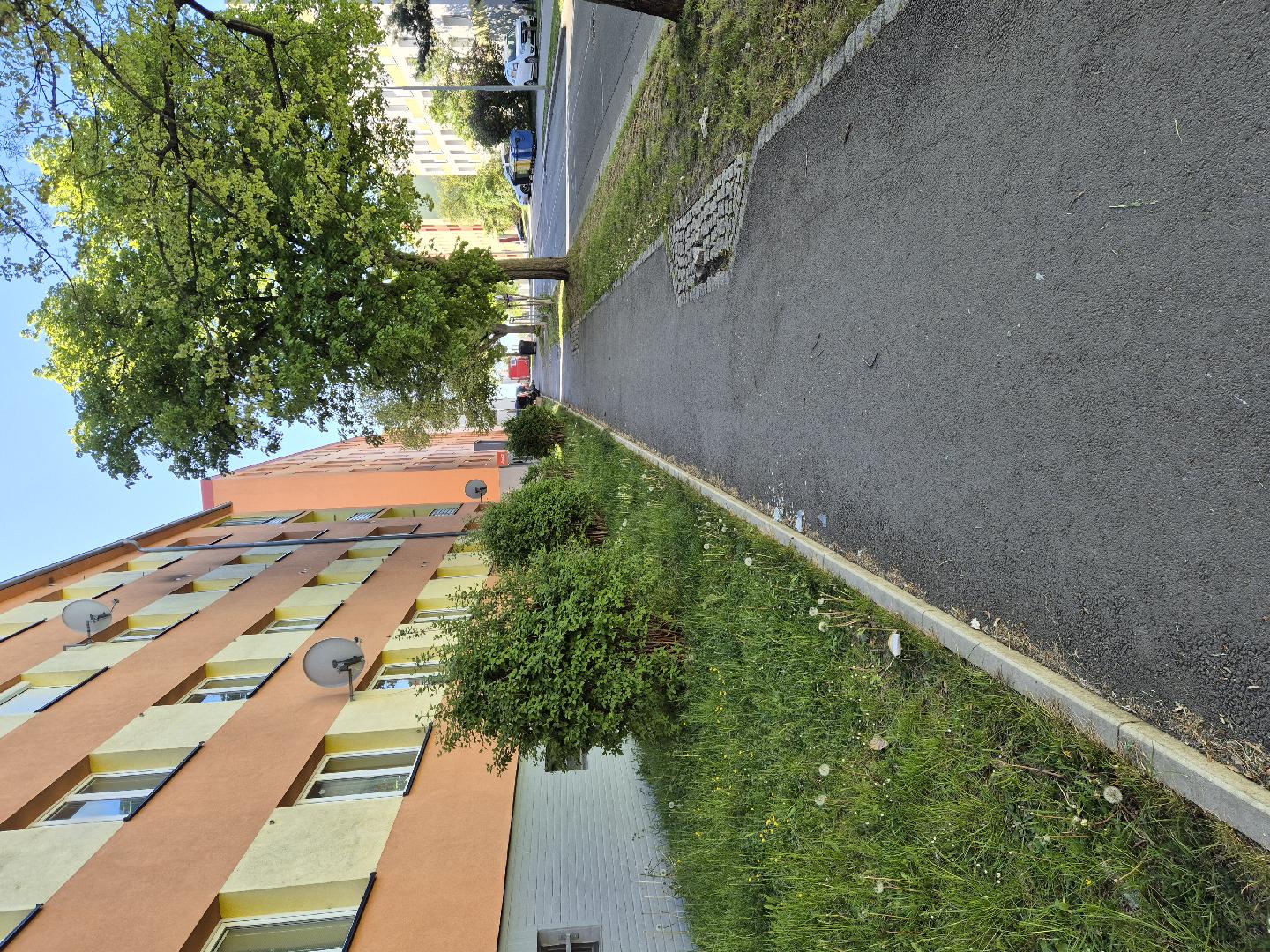 Střepy, odpadky