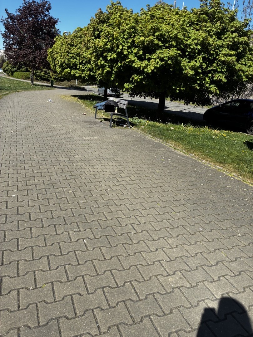 Nepořádek