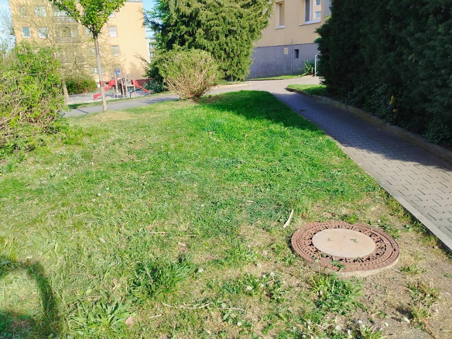 Větve a nevzhledná úprava 