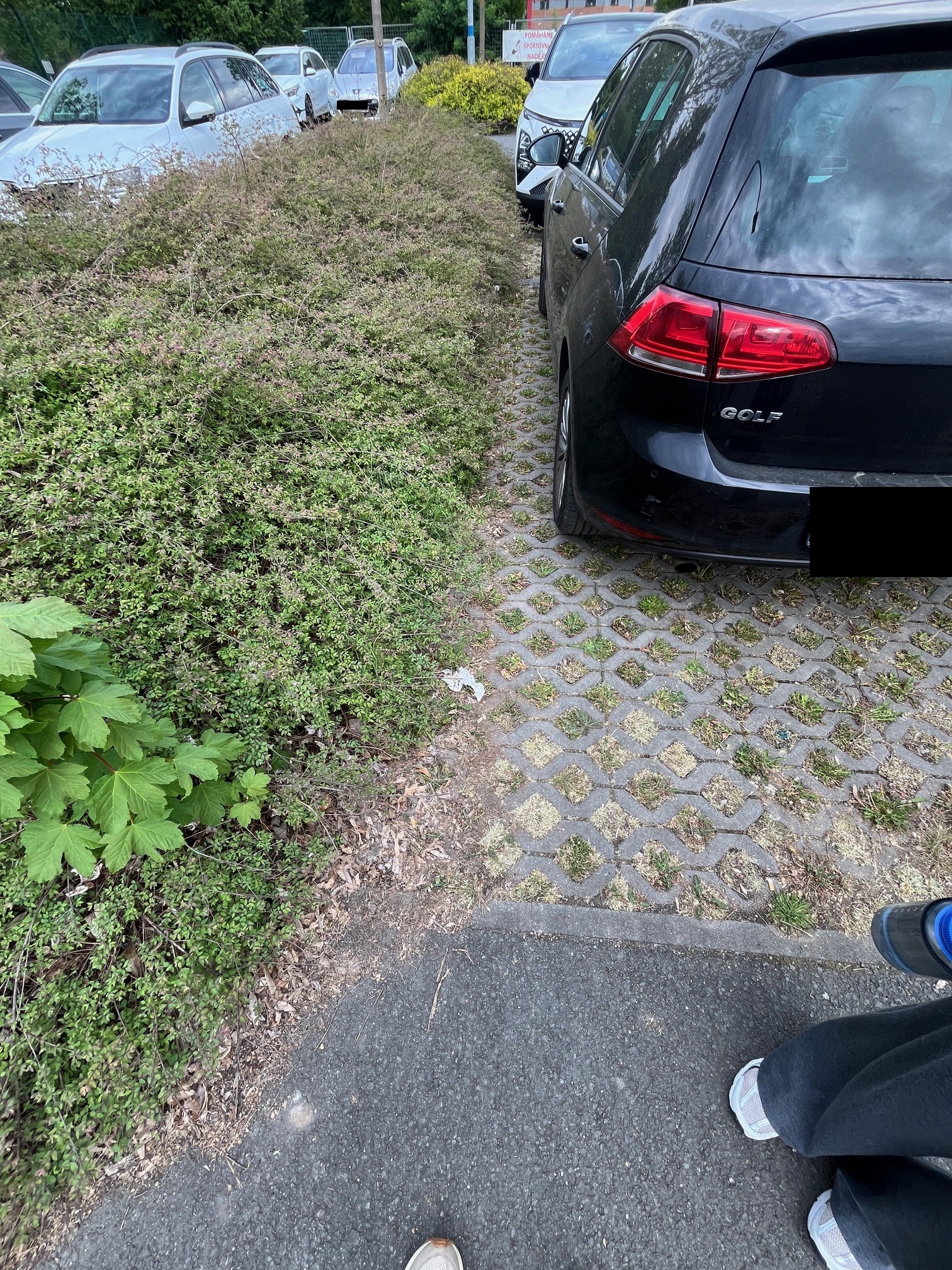 Keře, přerůstají