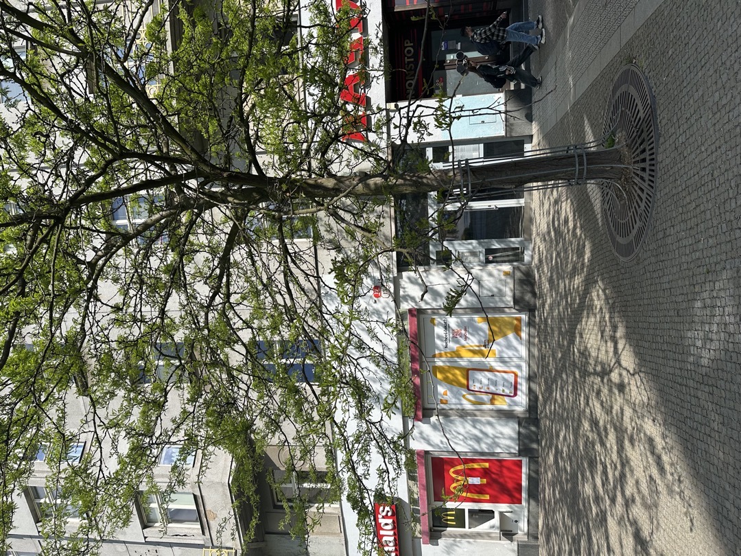 Nízké větve u McDonalds