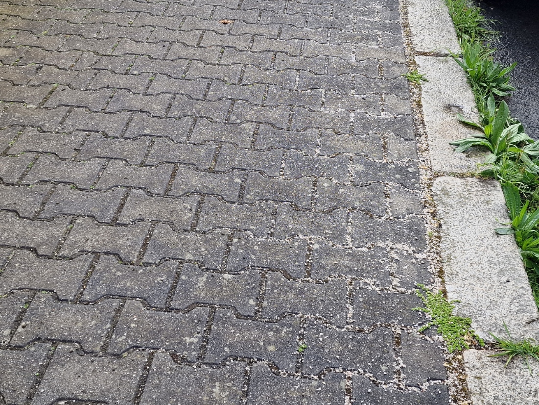Plevel a písek na chodníku