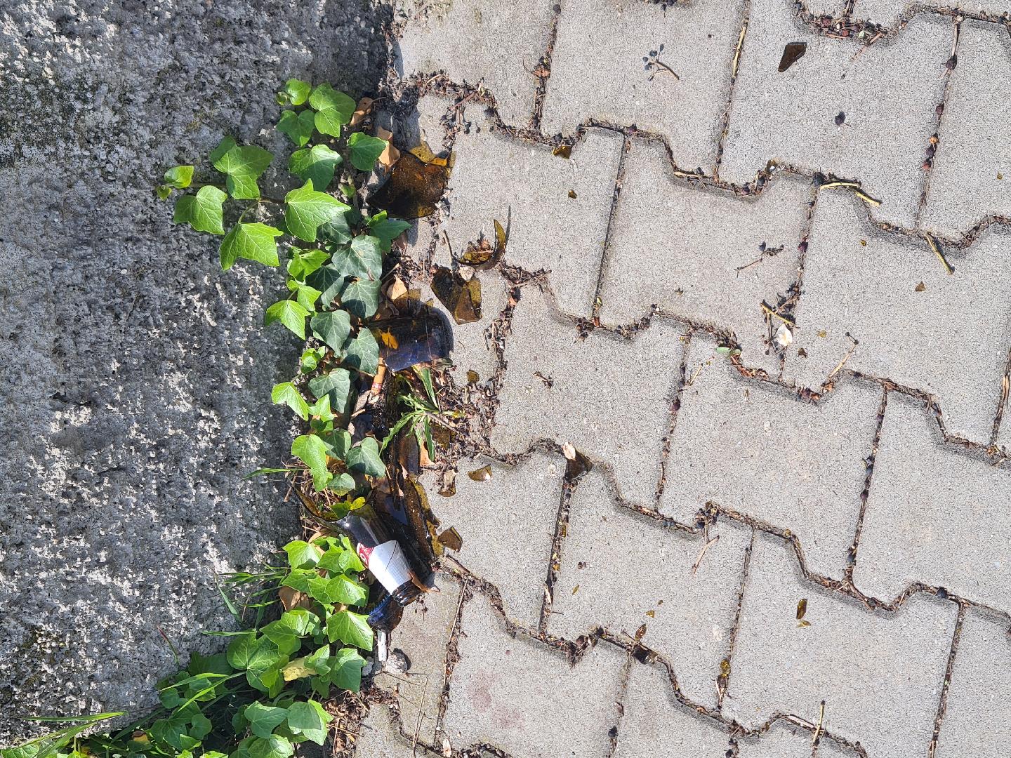 Fotografie nahlášení