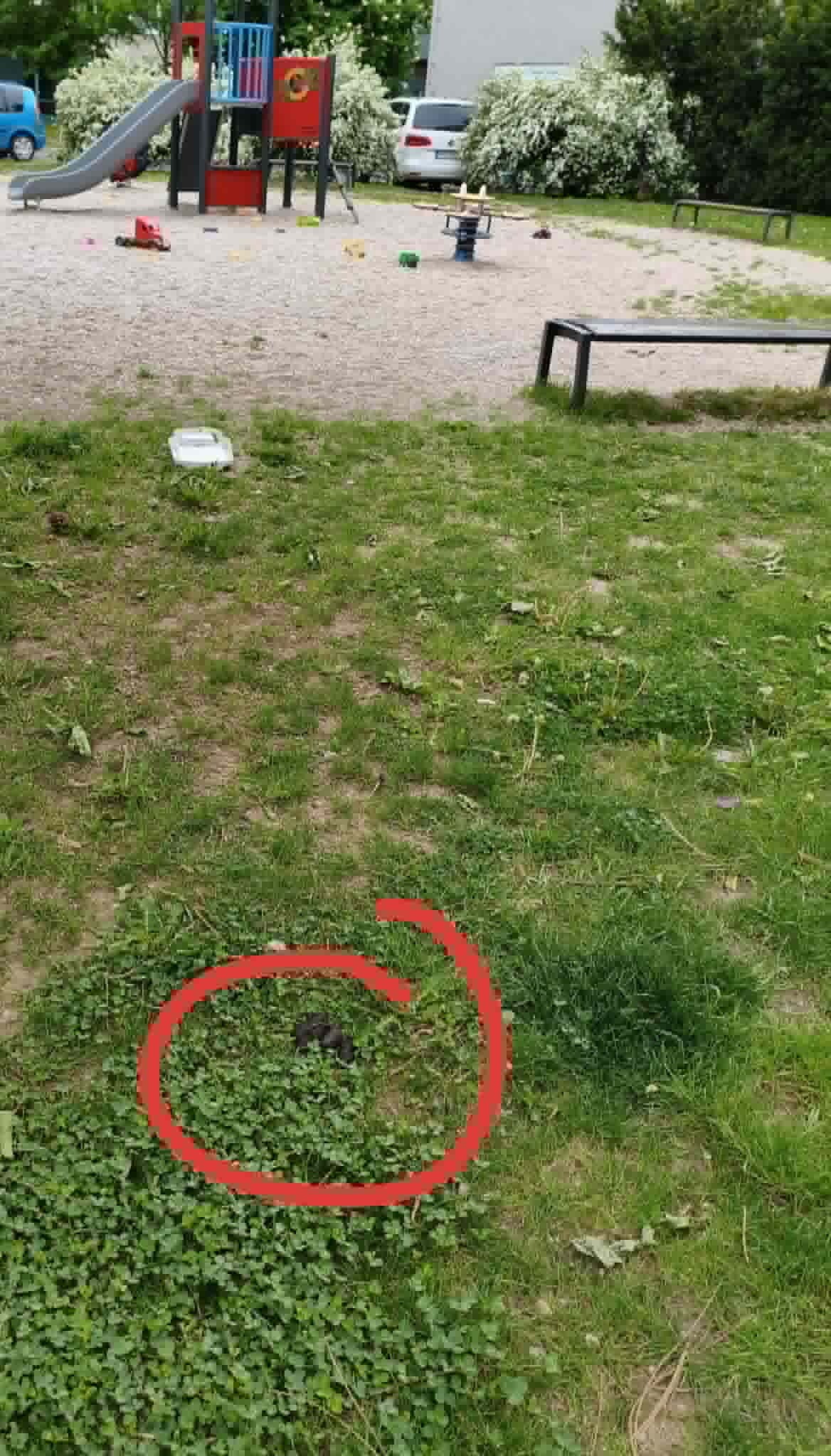 Fotografie nahlášení