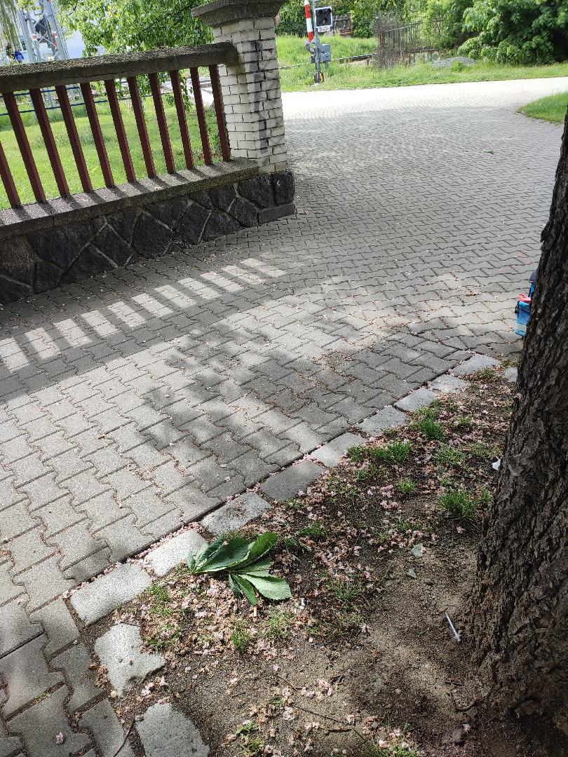 Použitá stříkačka bez jehly 