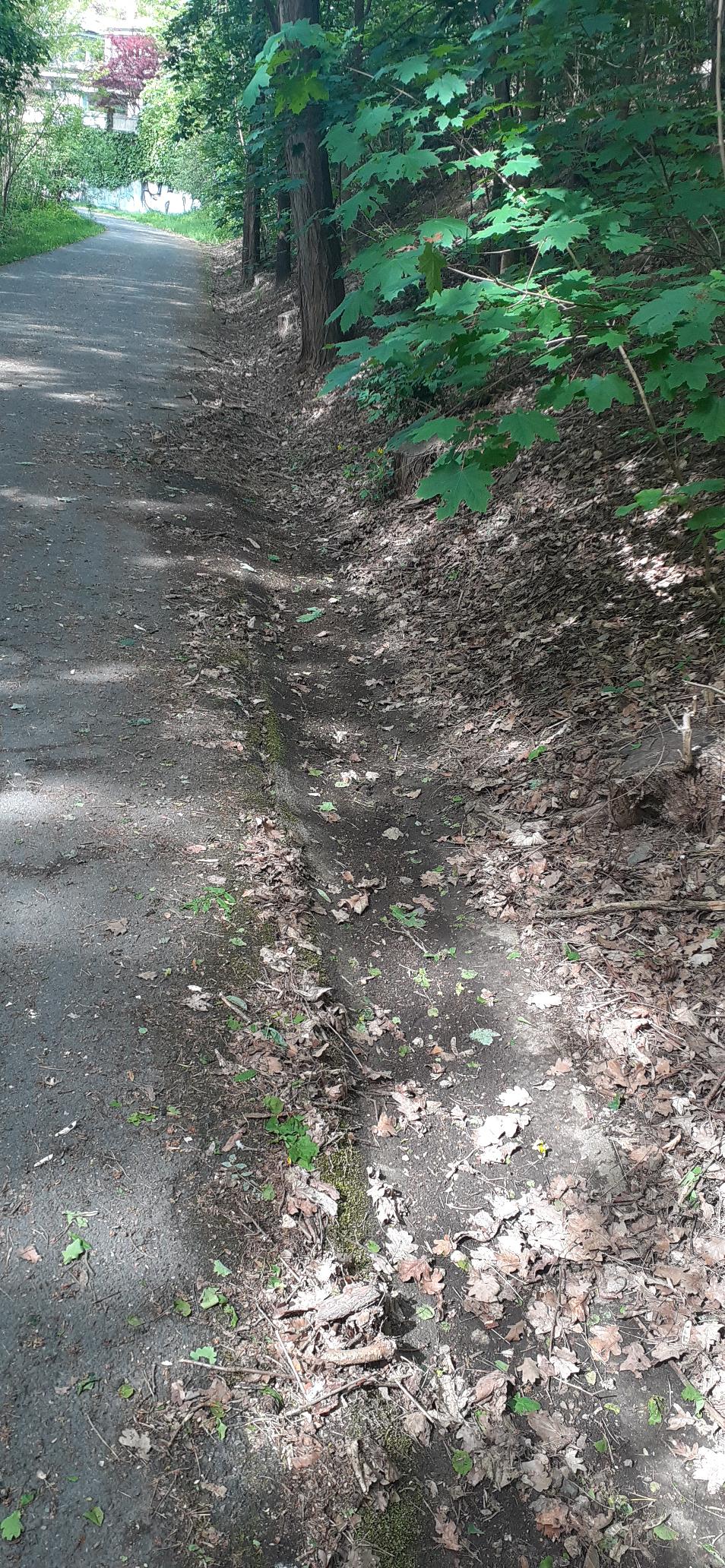 ucpané vpusti, zanešené rigoly