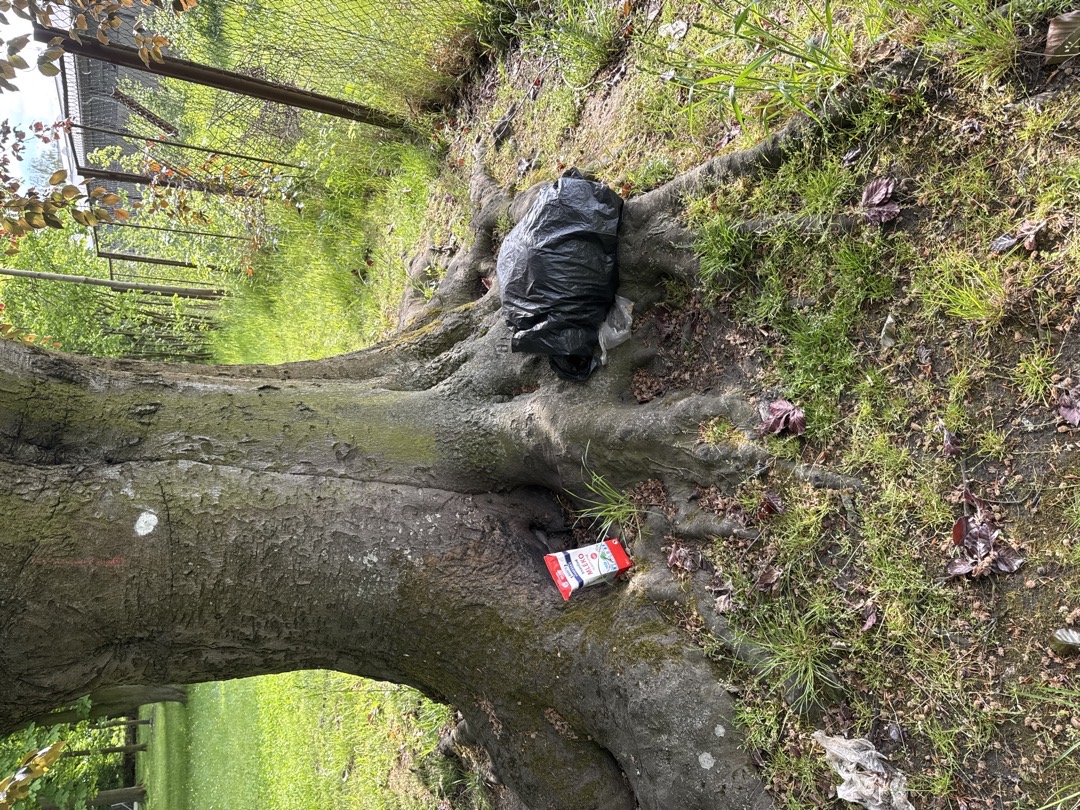 černá skládka 