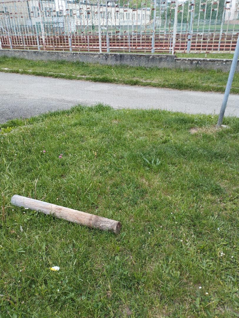 Fotografie nahlášení