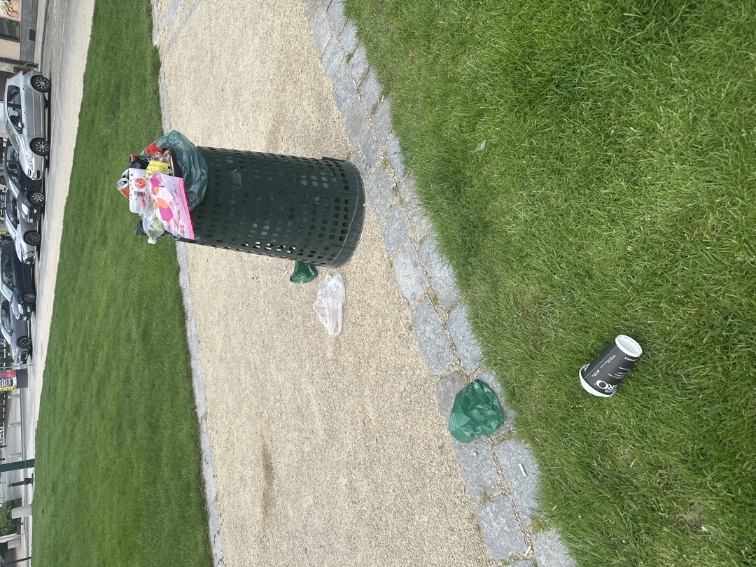 několik dnů nevysypaný koš