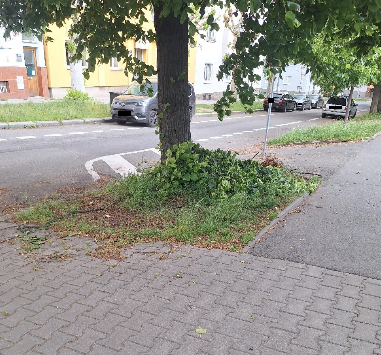 Větve