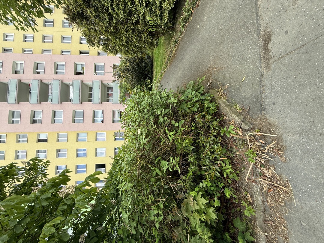 Fotografie nahlášení