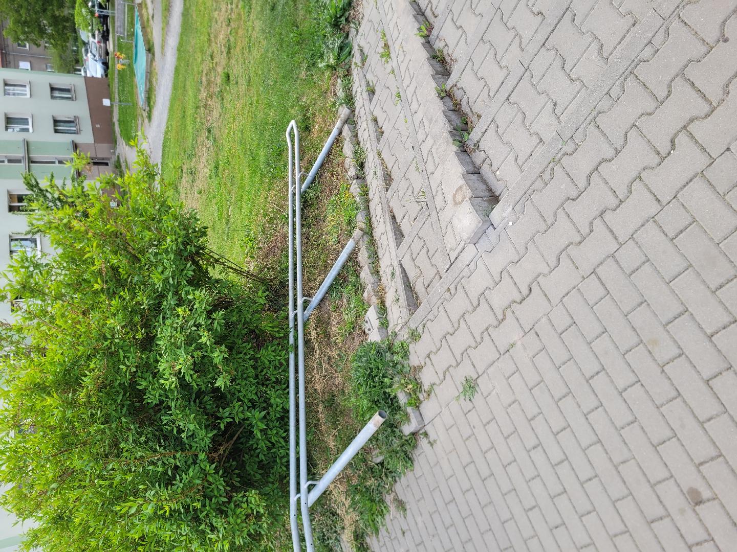 Fotografie nahlášení