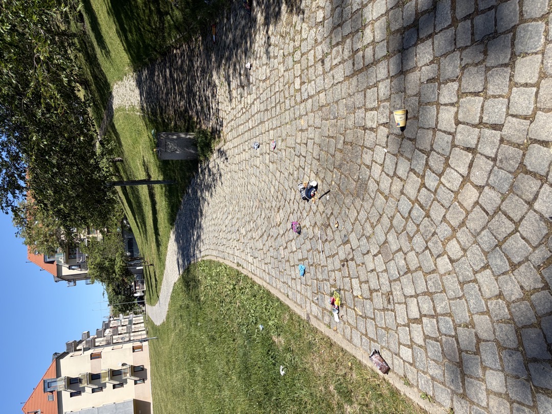 Nepořádek