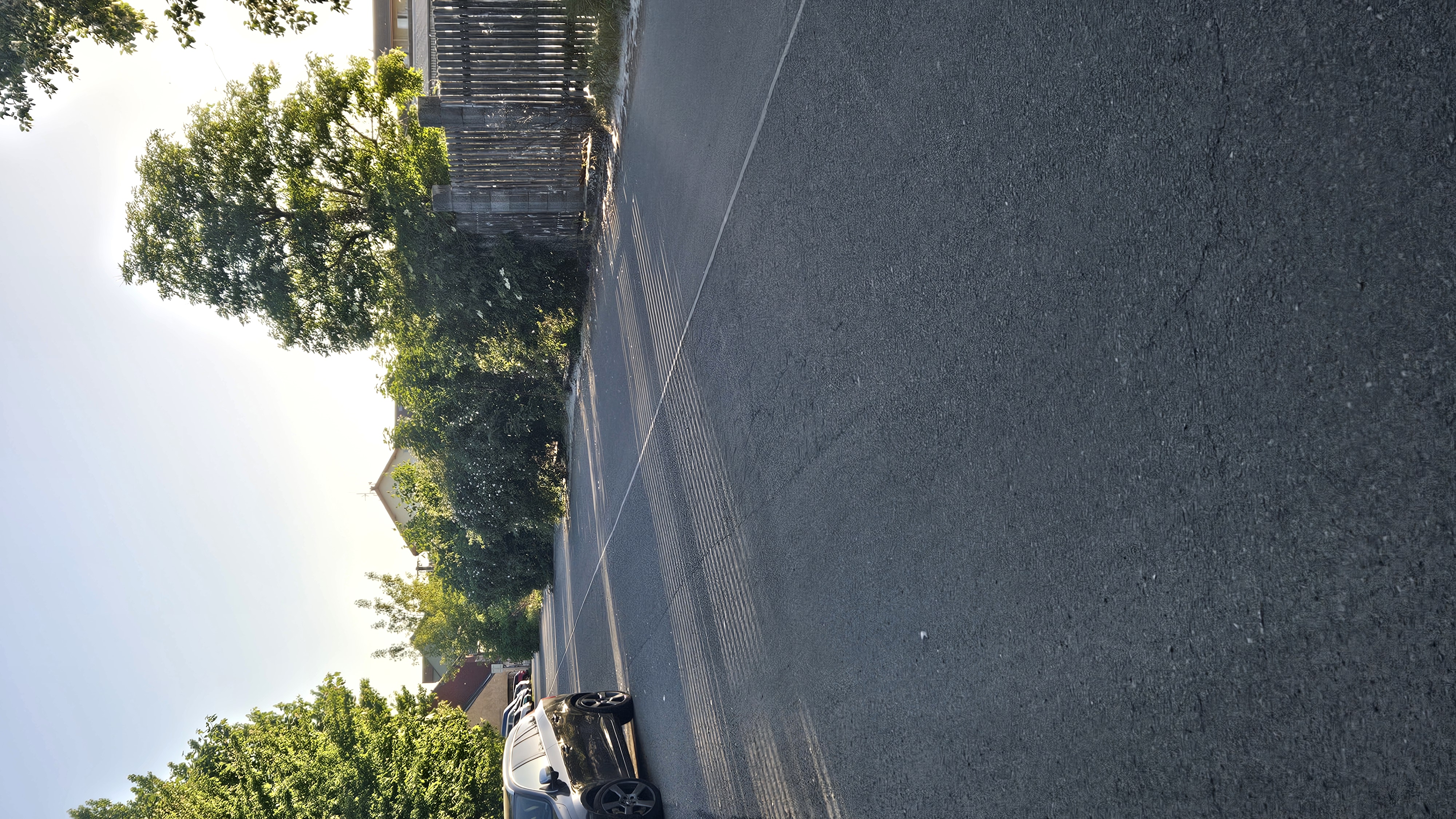 Zeleň ve vozovce