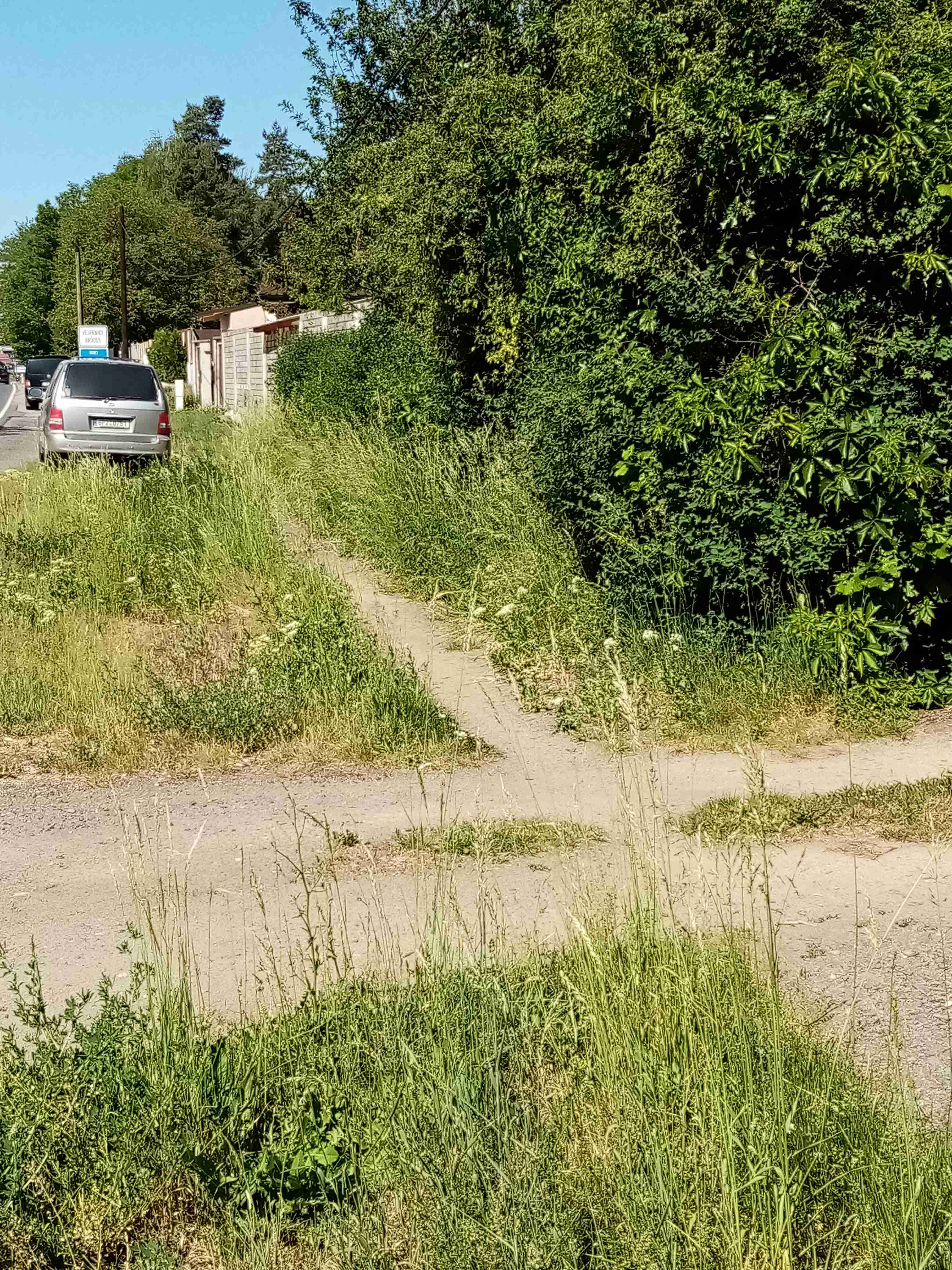 Fotografie nahlášení