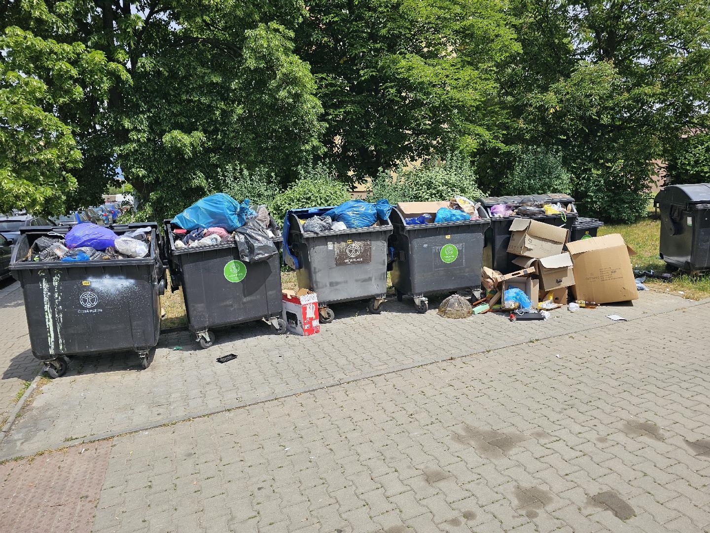 Nepořádek u popelnic