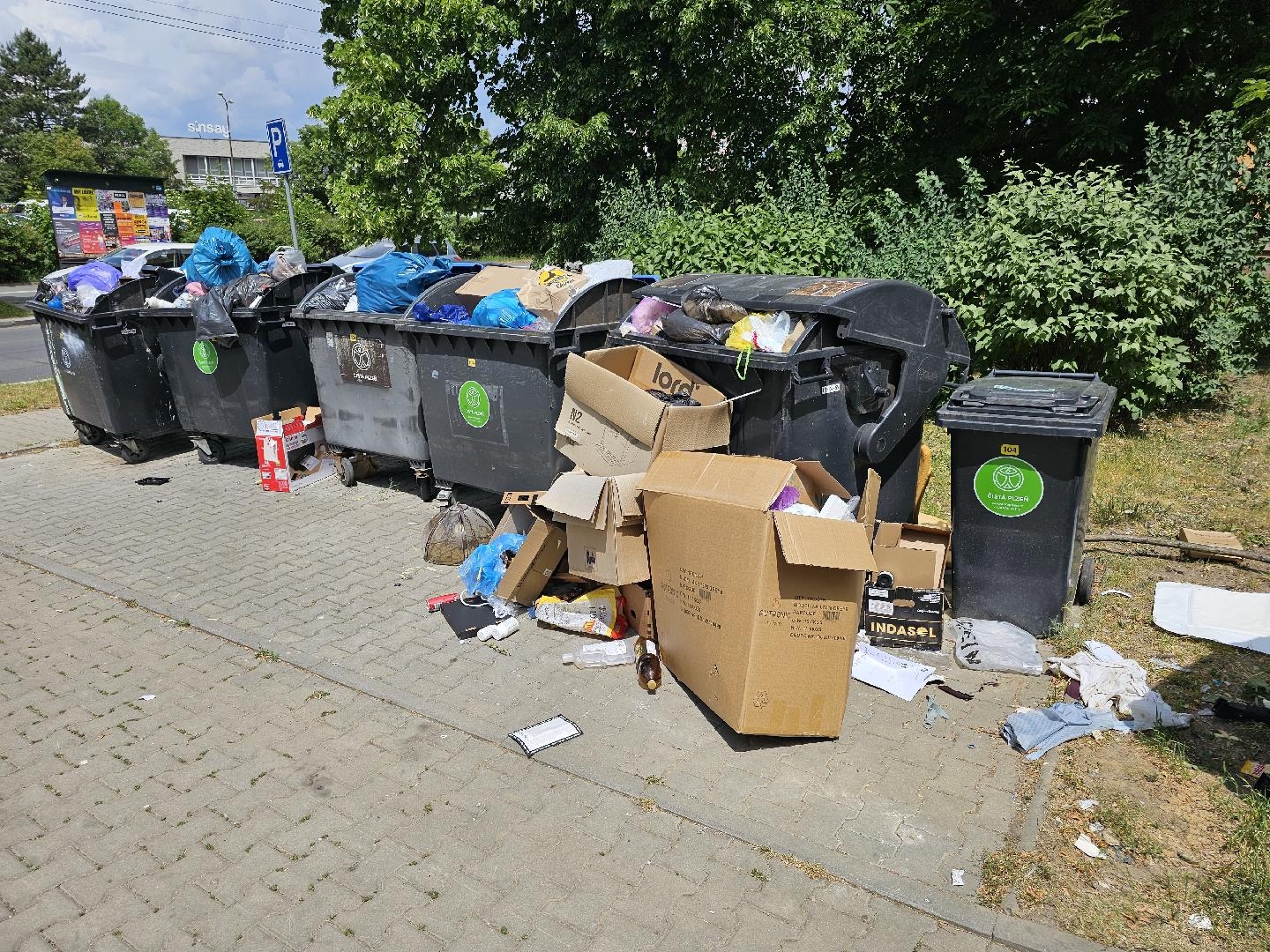 Nepořádek kolem popelnic