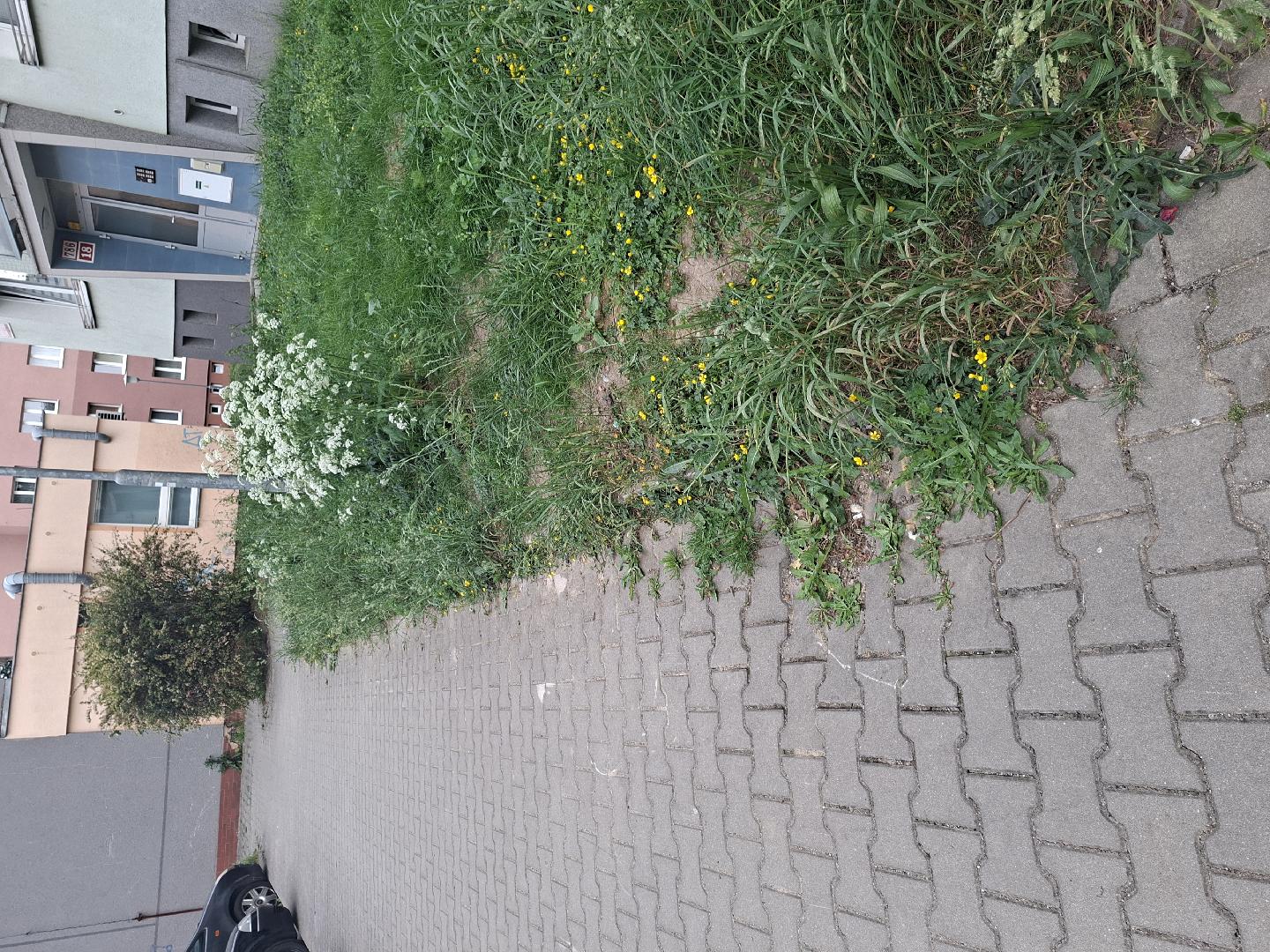 propadly chodnik