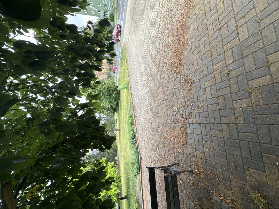 Lavička a květy