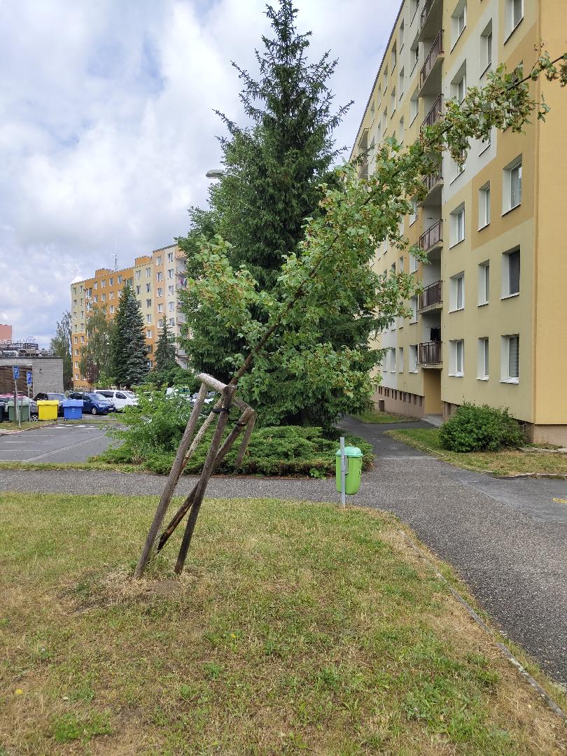 Ohnutý strom 