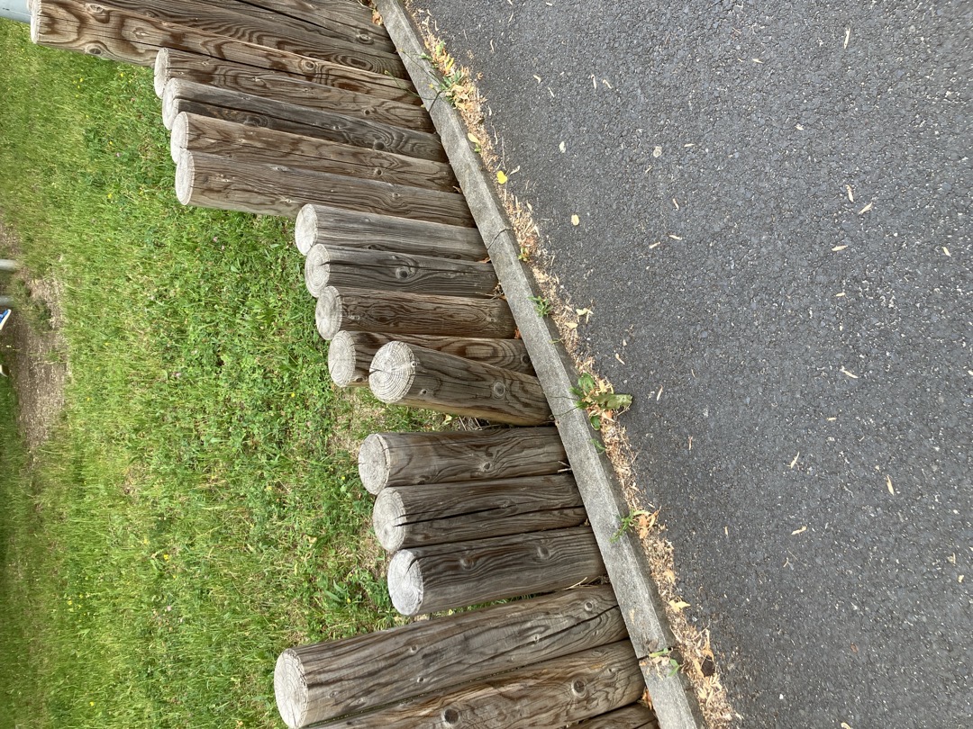 Fotografie nahlášení