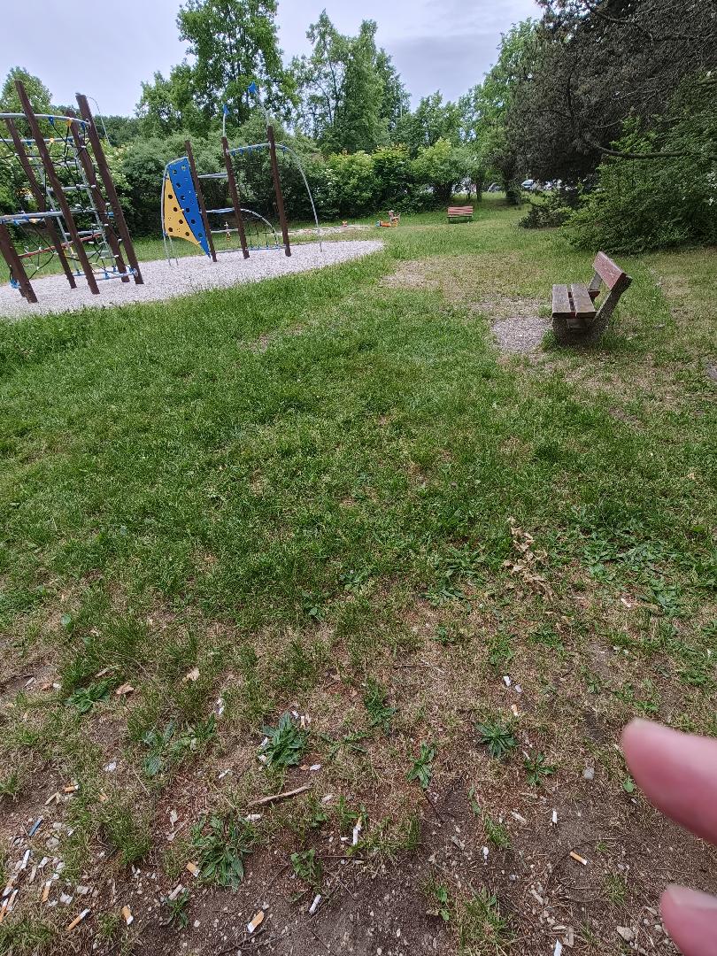 nepořádek na hřišti 