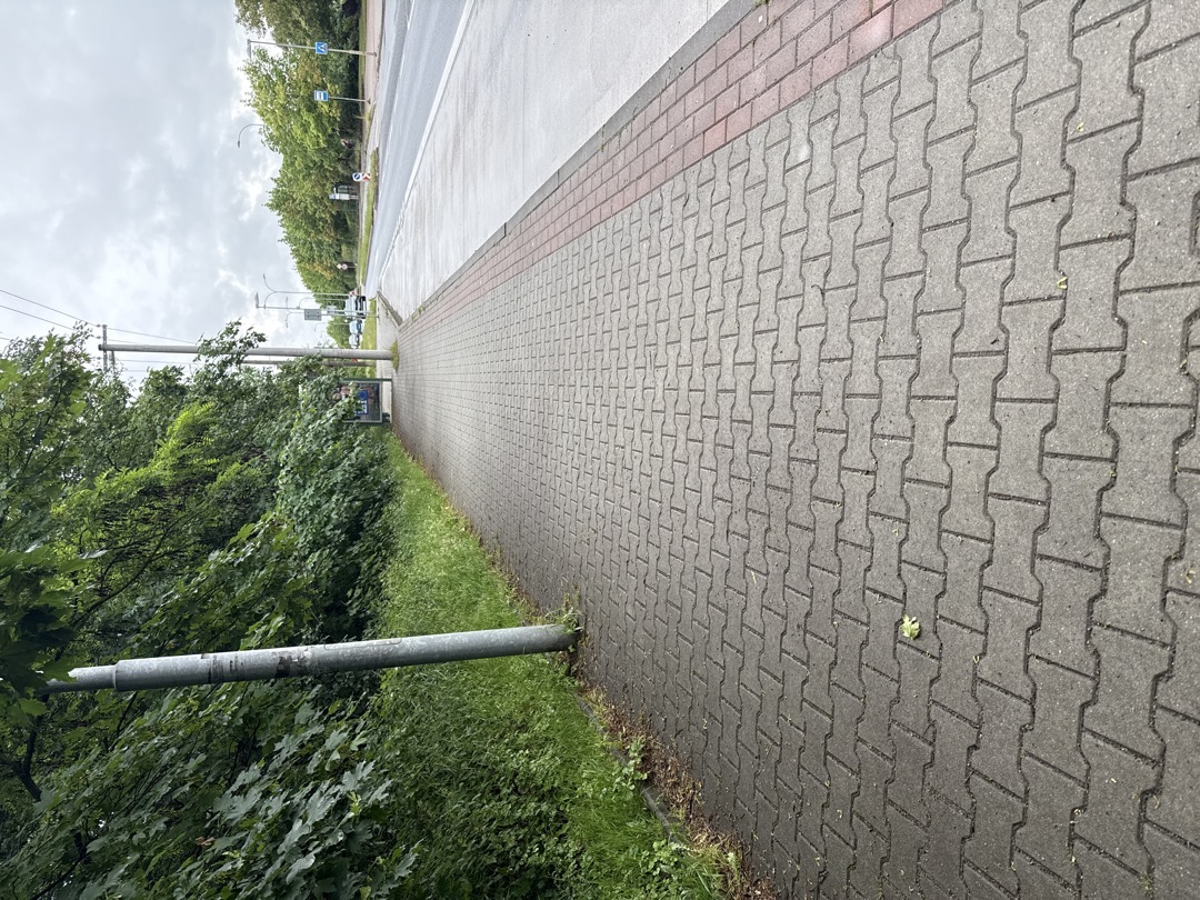 Větve v zastávce