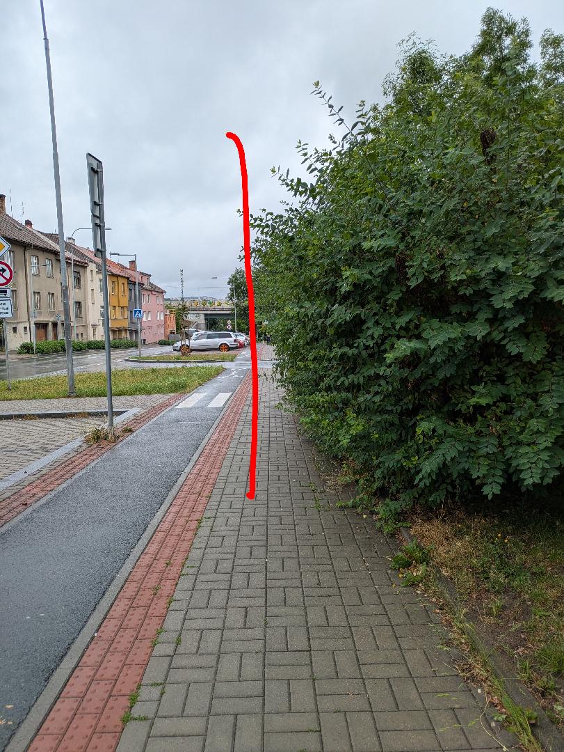 Zeleň zasahující do chodníku