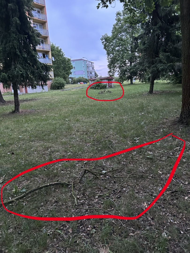Popadané zlámané větve