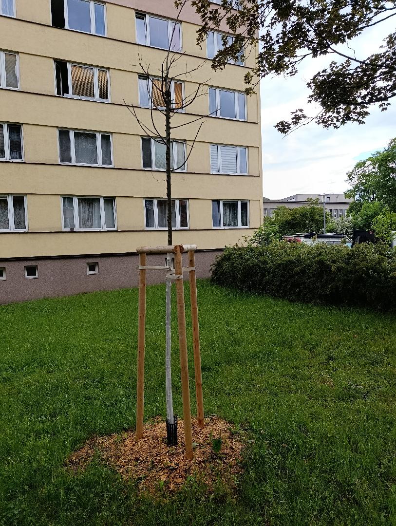 Fotografie nahlášení