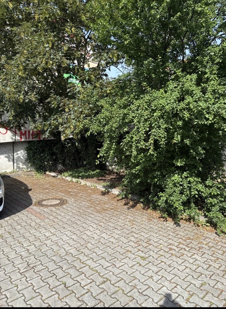Fotografie nahlášení