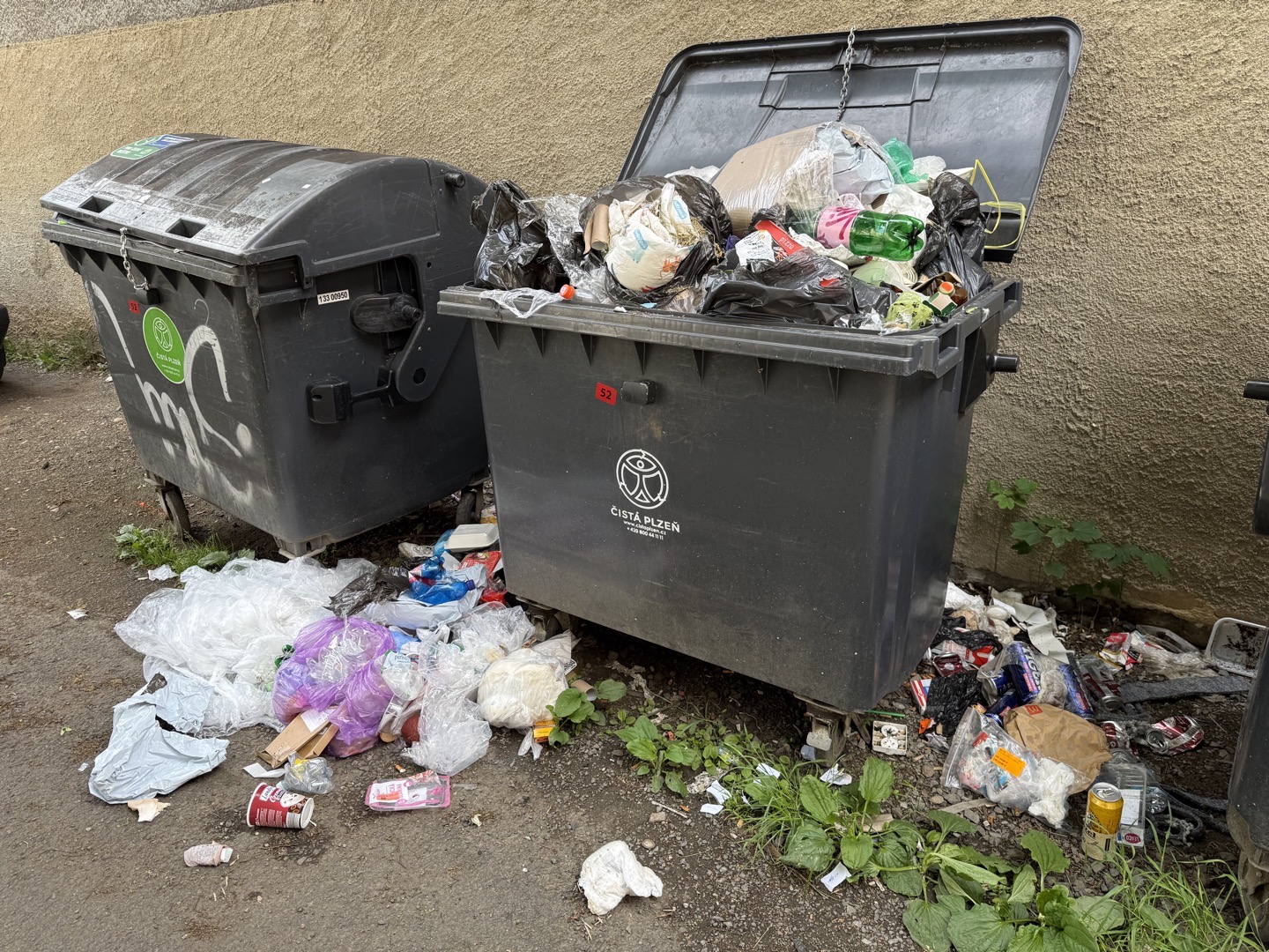 nepořádek u popelnice