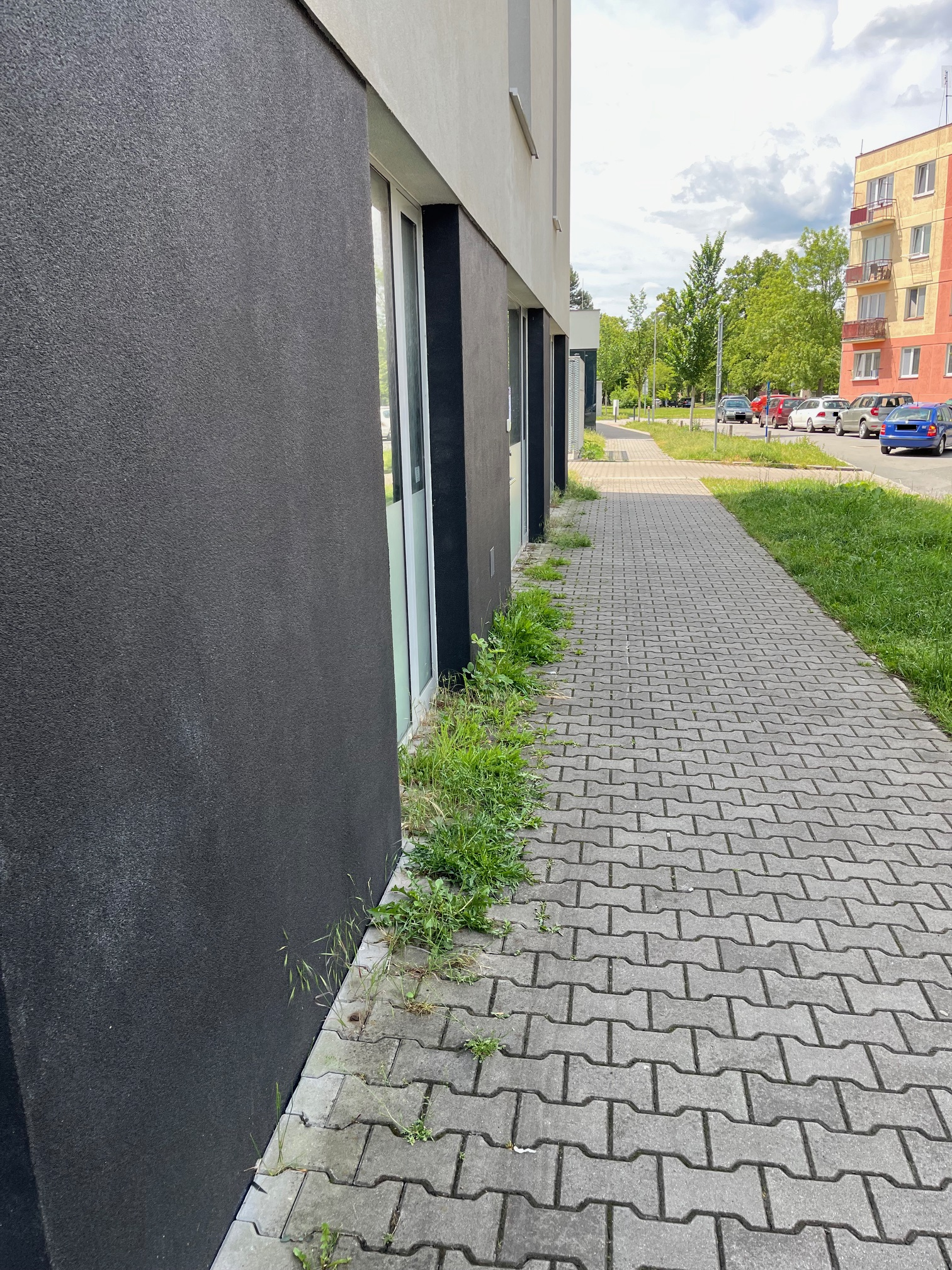 Kantování